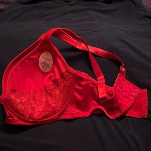 Beautiful bright red bra